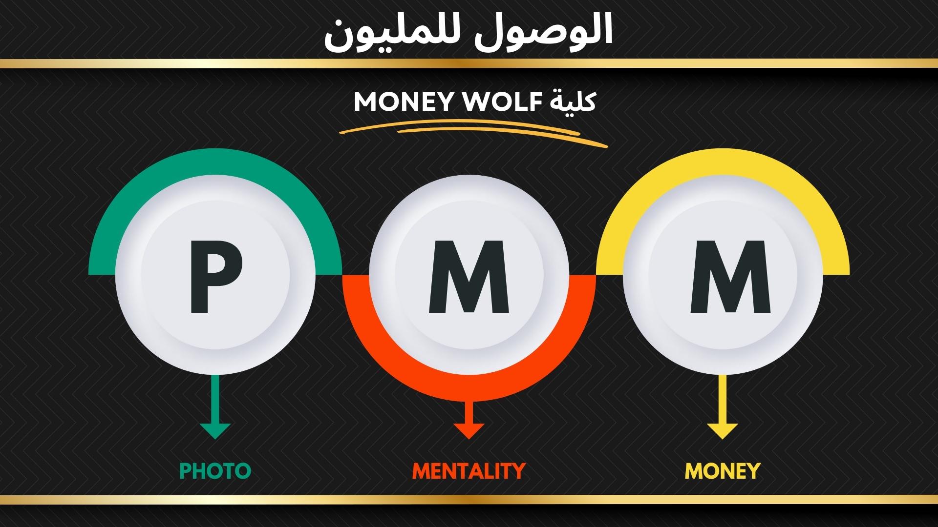 pmm